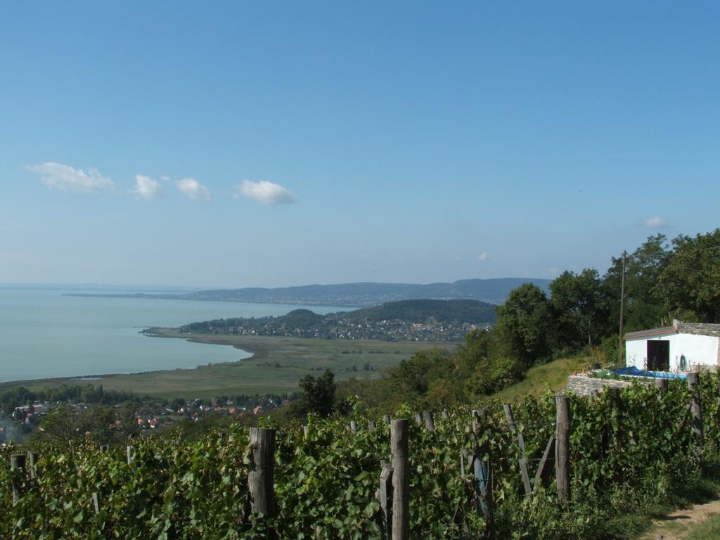 Kis Teniszhaz Ordacsehi Exterior foto